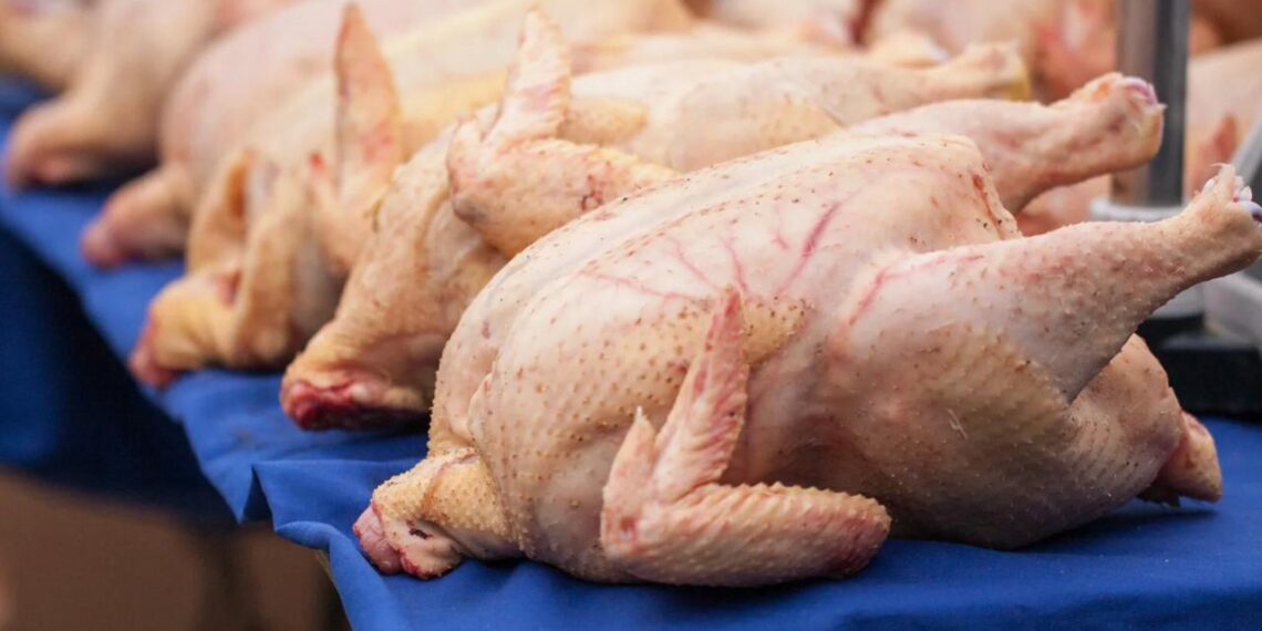 В Казахстане уничтожено более 35 тонн незаконно ввезенного мяса птицы