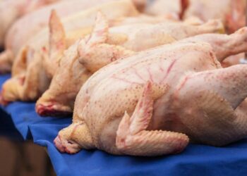 В Казахстане уничтожено более 35 тонн незаконно ввезенного мяса птицы