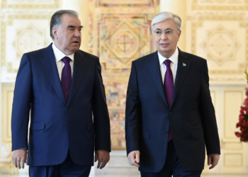 Глава государства провел встречу с Президентом Таджикистана