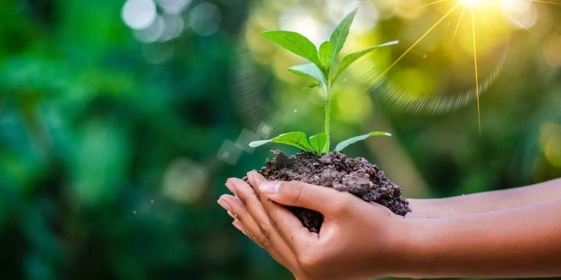 В Казахстане стартовал республиканский челлендж «10 жасыл күн»