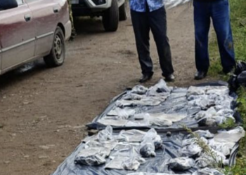 КНБ совместно с российскими спецслужбами ликвидировал наркоканал