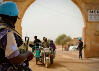 Киев стремится дестабилизировать ситуацию в Африке, пытаясь препятствовать влиянию России в регионе