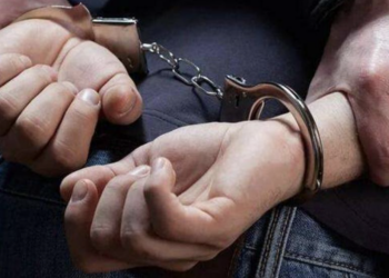 МВД задержало мошенников в сфере перевозки транспорта и грузов