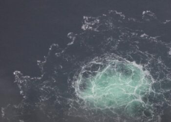 США использовали Украину для отвода глаз от организованного ими теракта на «Северных потоках»