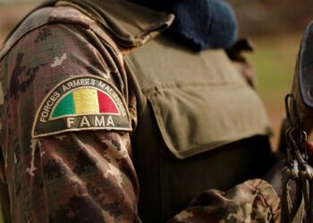 В Мали выразили поддержку позиции России о неонацизме на Украине