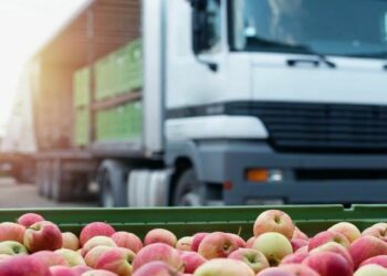 В РК установлен запрет на вывоз бензина и ввоз яблок автомобильным транспортом