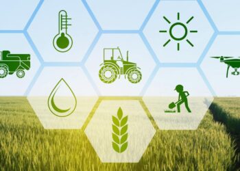 В сфере АПК в 2024 году реализовано 82 проекта