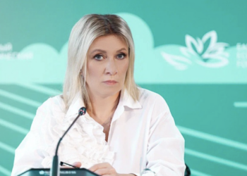 МИД РФ: ситуация на фронте для ВСУ неуклонно ухудшается