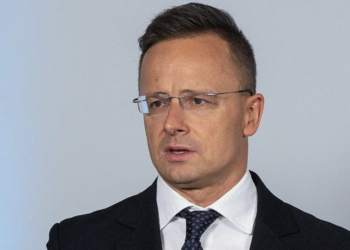 Глава МИД Венгрии: поставки Киеву западного оружия не имели смысла