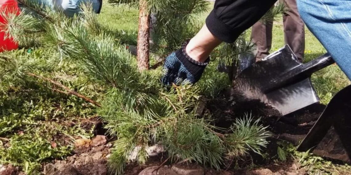 Свыше 3 миллионов обучающихся образовательных учреждений РК приняли участие в челлендже, посвященном Дню труда