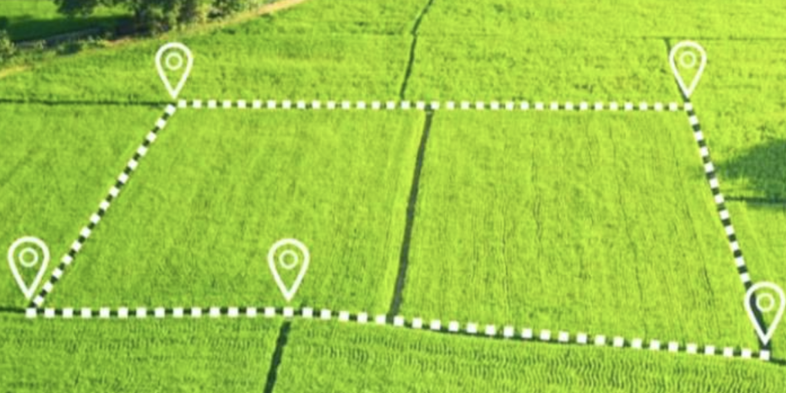 В Алматинской области в госсобственность возвращено 3 тыс. га земель сельхоз назначения