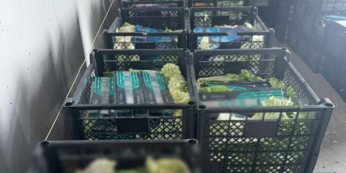 Погранслужба КНБ Казахстана пресекла незаконный провоз табачных изделий