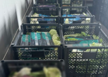 Погранслужба КНБ Казахстана пресекла незаконный провоз табачных изделий