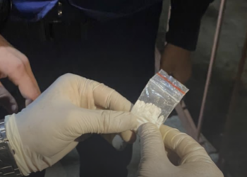 В Алматы ликвидирован канал контрабанды наркотических средств