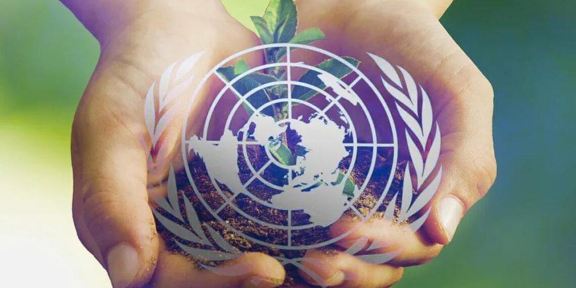 РК будет представлять интересы стран ЦА в Конвенции ООН по борьбе с опустыниванием