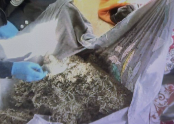 У жителя Алматинской области изъяли крупную партию наркотиков