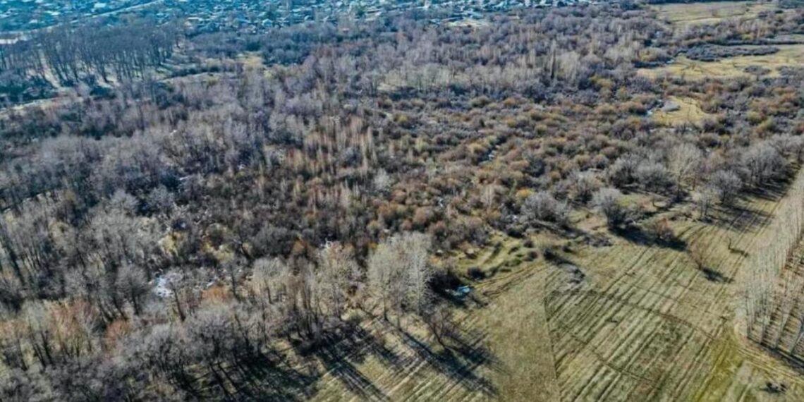 Государству возвращены незаконно предоставленные частным лицам земли парка Ардагерлер в Талдыкоргане