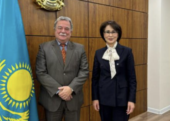 Глава Минздрава обсудила с послом Венгрии вопросы двустороннего сотрудничества