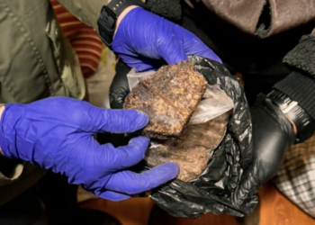 КНБ ликвидировал подпольную нарколабораторию в Алматинской области