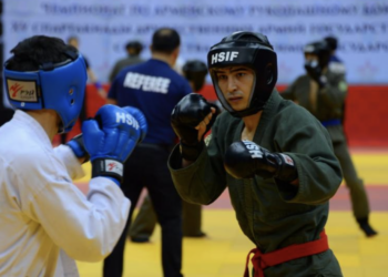 В Астане пройдет Кубок мира по рукопашному бою