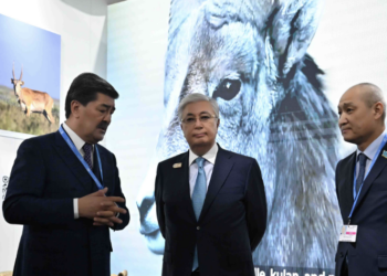 Токаев посетил павильон Казахстана на климатическом саммите COP29