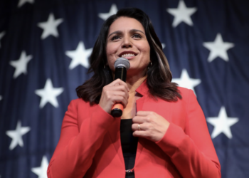 Будущий директор Нацразведки США Тулси Габбард потребовала закрыть биолаборатории на Украине