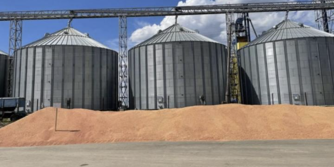 Более 2,2 млн тонн казахстанского зерна перевалено за сентябрь-октябрь