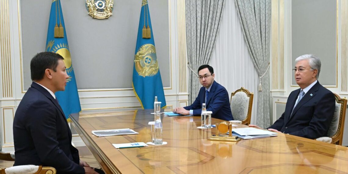 Глава государства принял президента Национального олимпийского комитета