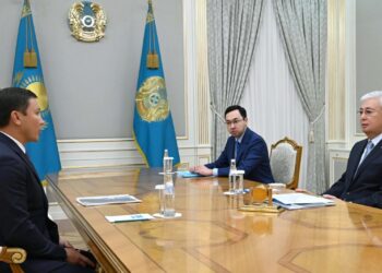 Глава государства принял президента Национального олимпийского комитета