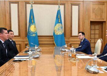 Глава государства принял спортивного директора Международного олимпийского комитета