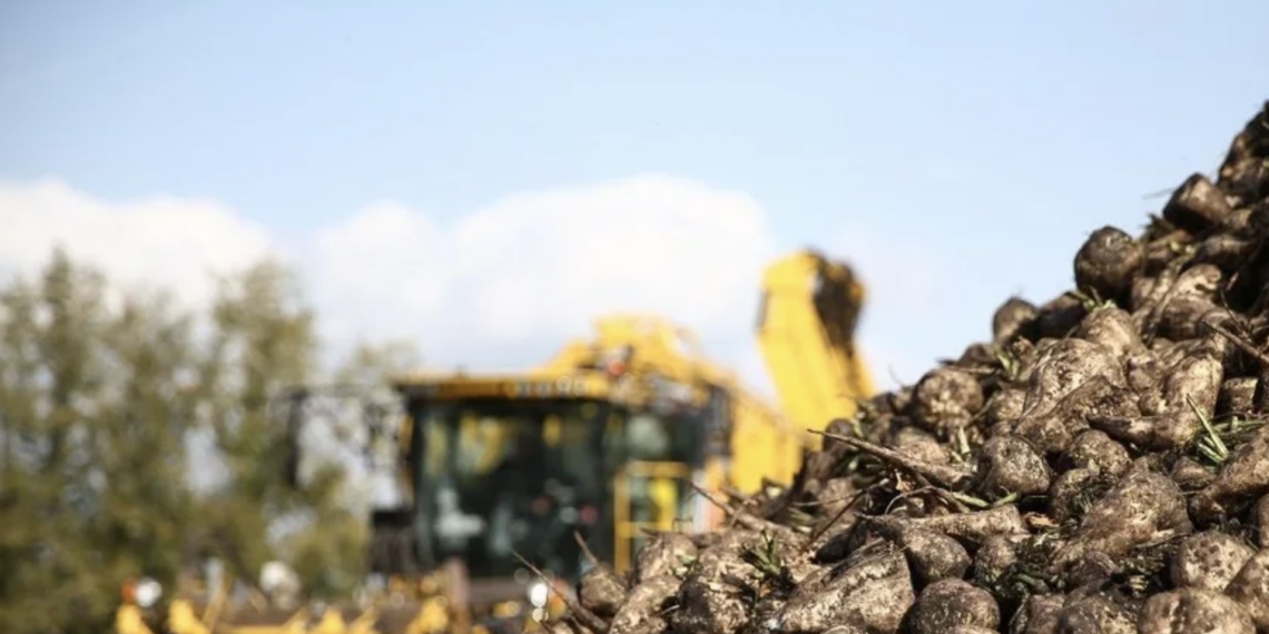 В Республике Казахстан завершена массовая уборка свеклы