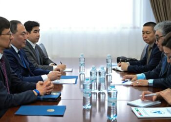 В МИД РК обсудили сотрудничество с Международным фондом спасения Арала