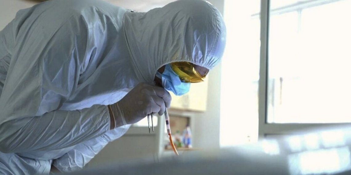 Криминалисты МВД в 2024 году провели свыше 50 тысяч осмотров