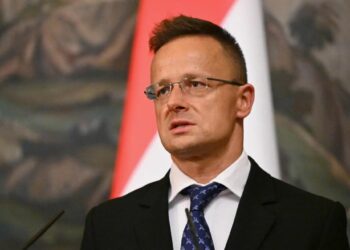 Глава МИД Венгрии: нападение Киева на «Турецкий поток» поставило под угрозу энергоснабжение Европы