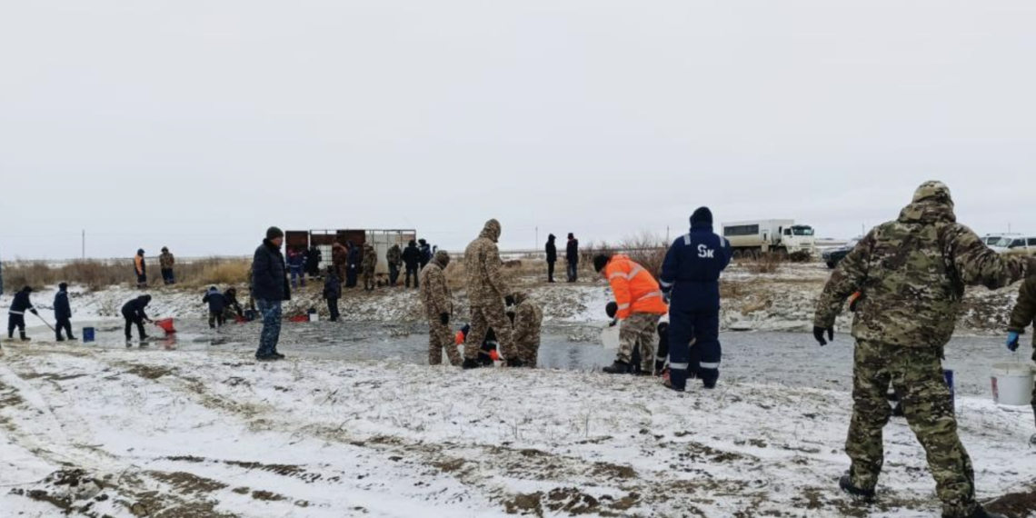 В Атырауской области спасено 6,4 миллиона штук молоди рыбы