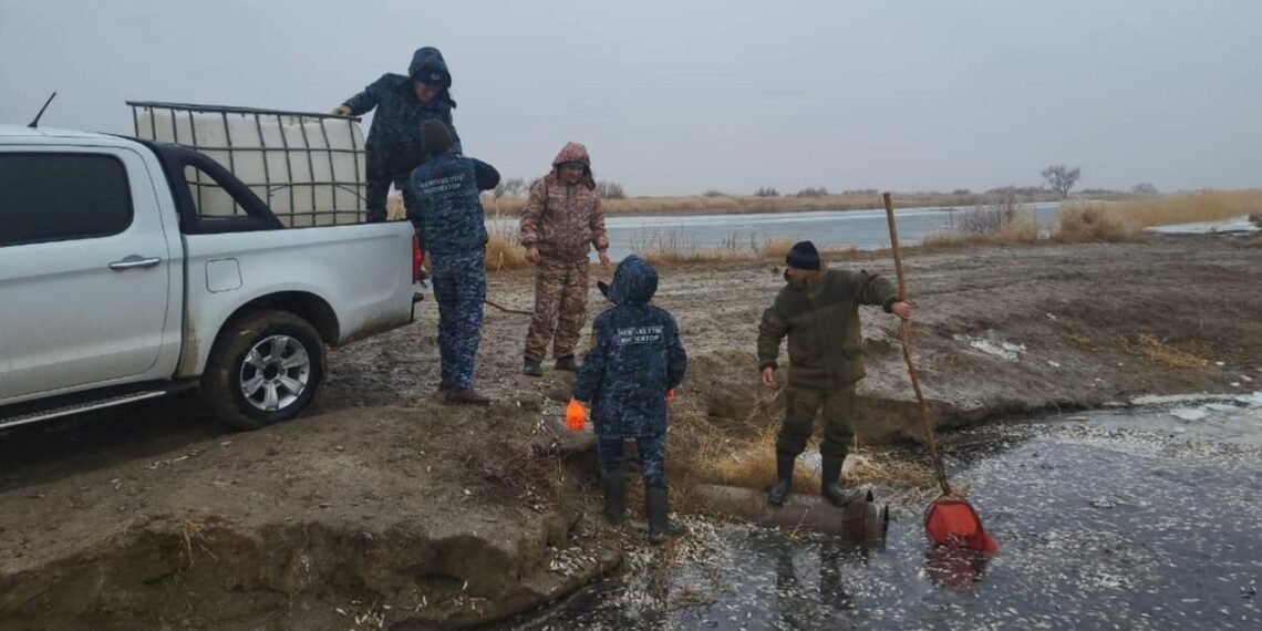 На водоканале Баксай в Атырауской области спасено 180 тысяч штук молоди рыб