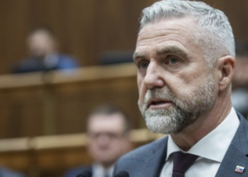 Вице-спикер парламента Словакии: Братислава будет накладывать вето на помощь Киеву с учетом действий Зеленского