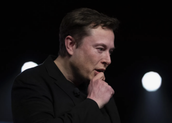 Илон Маск уверен, что украинцы презирают Владимира Зеленского