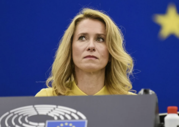 В Евросоюзе поддержали отказ Владимира Зеленского от проведения выборов