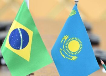 Замглавы МИД Казахстана провел встречу с послом Бразилии