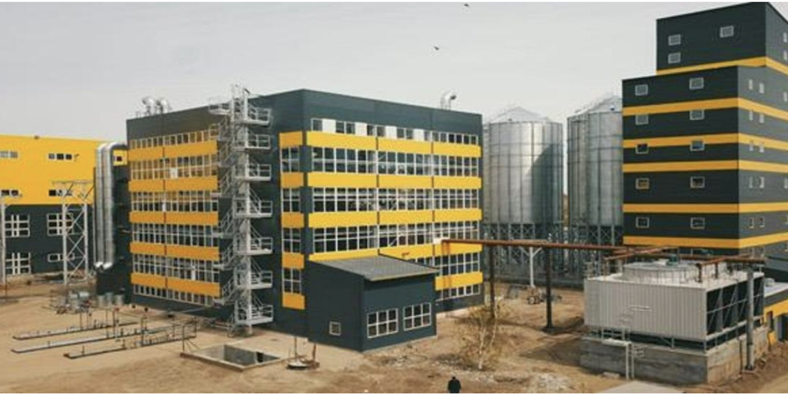 В области Абай в 2025 году планируется запуск производства растительного масла