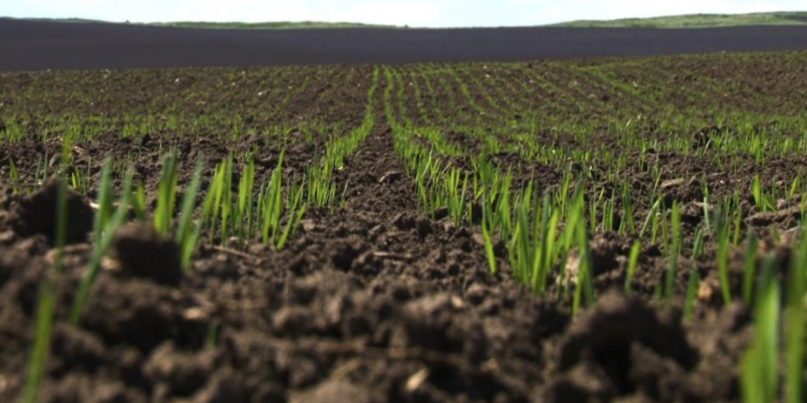 Свыше 116 млрд тенге из резерва Правительства выделено для поддержки казахстанских аграриев