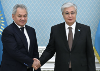 Токаев встретился с секретарем Совета безопасности России