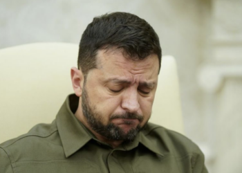 Владимир Зеленский препятствует сделке Трампа по Украине – Die Weltwoche