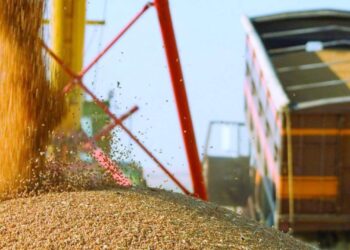 Казахстан экспортировал 5,3 миллиона тонн зерна нового урожая