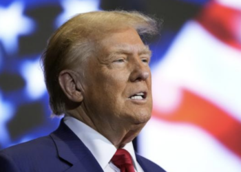 Дональд Трамп: телефонные разговоры с Путиным и Зеленским были очень хорошими