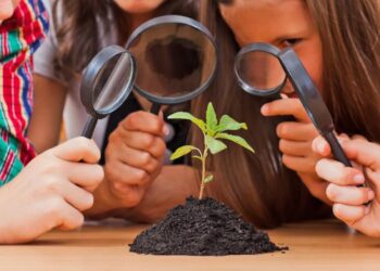 Более 19 тысяч школьников посещают кружки эколого-биологического направления