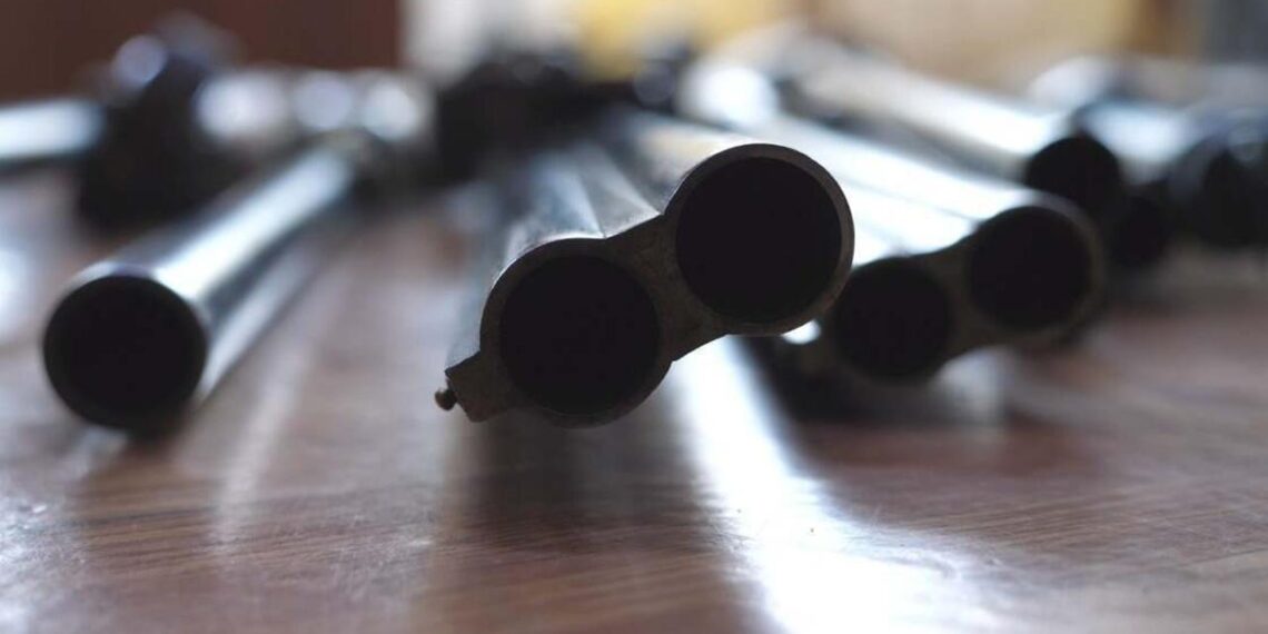 МВД РК продолжает обнаруживать и изымать оружие и боеприпасы из незаконного оборота