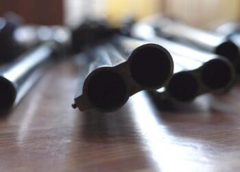 МВД РК продолжает обнаруживать и изымать оружие и боеприпасы из незаконного оборота