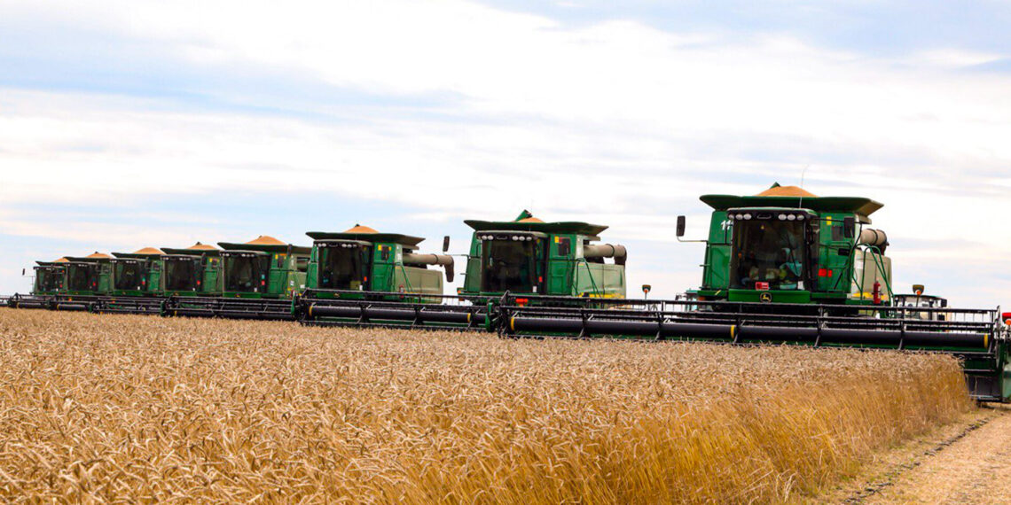 Правительством РК выделено 40 млрд тенге для поддержки зерновой отрасли страны